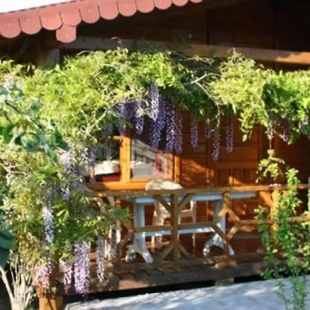 Windmolen Apart Bungalows База отдыха